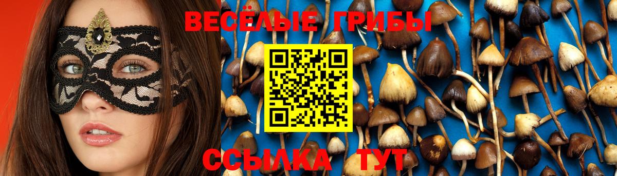 Галлюциногенные грибы Cubensis  Вход с VPN  Соль-Илецк 